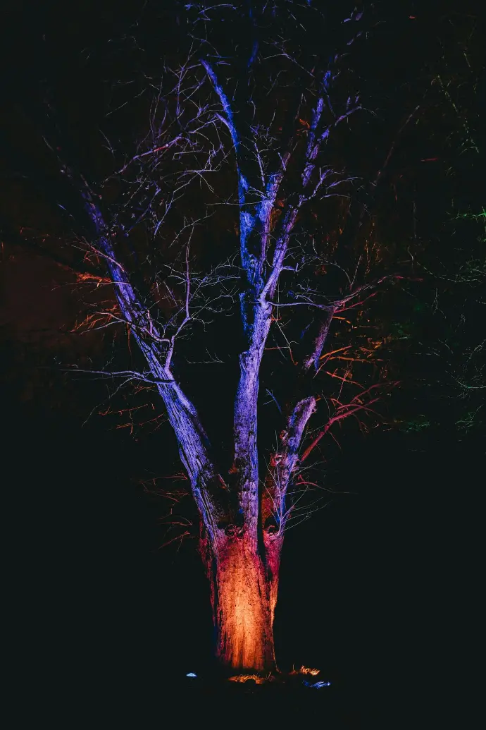 Uplighting